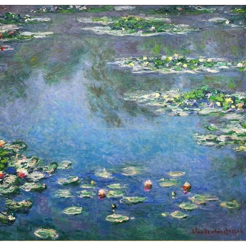 Кувшинки