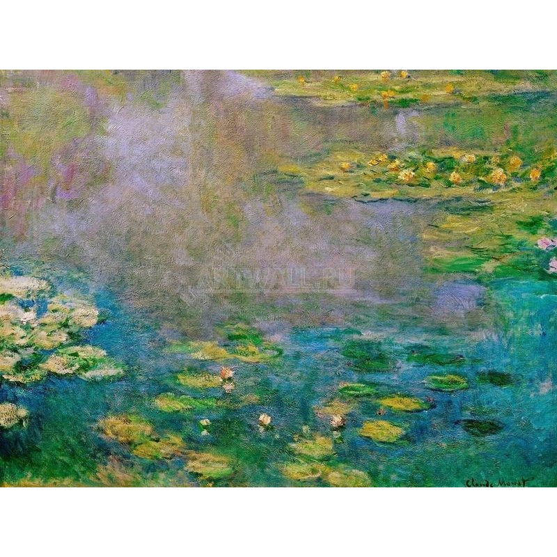Кувшинки