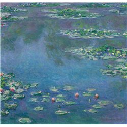 Водяные лилии
