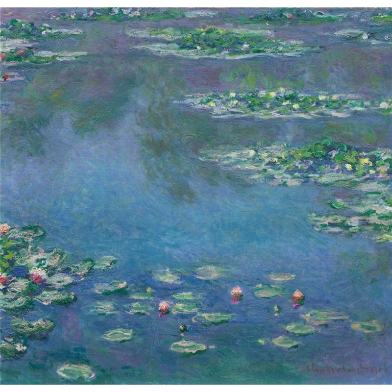 Водяные лилии