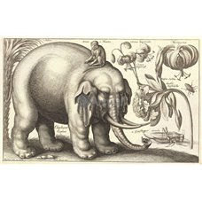 Картина на холсте по фото Модульные картины Печать портретов на холсте Слон и цветы