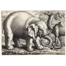 Картина на холсте по фото Модульные картины Печать портретов на холсте Слон и верблюд