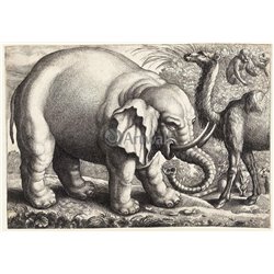 Слон и верблюд - Модульная картины, Репродукции, Декоративные панно, Декор стен