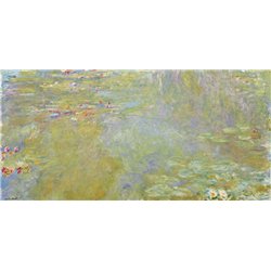 Пруд с водяными лилиями