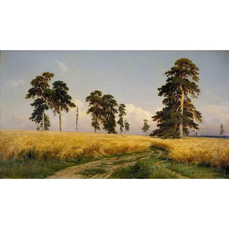 Рожь