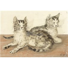 Картина на холсте по фото Модульные картины Печать портретов на холсте Две кошки