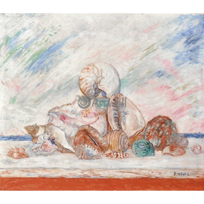 Раковины