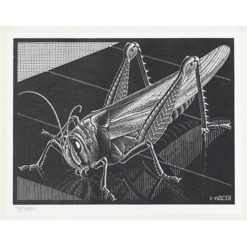 Кузнечик