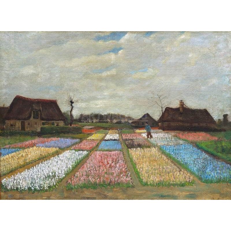 Луковичные поля