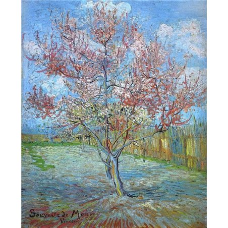 Персиковое дерево в цветах, 1888
