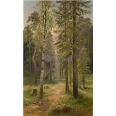 Картина на холсте по фото Модульные картины Печать портретов на холсте Лесной пейзаж