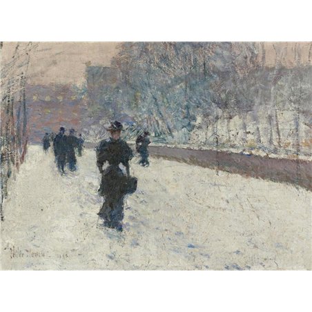 Прогулка, зима в Нью Йорке