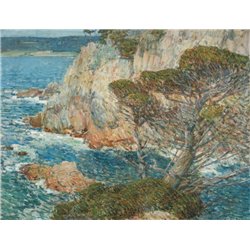 Пойнт Лобос, Кармел