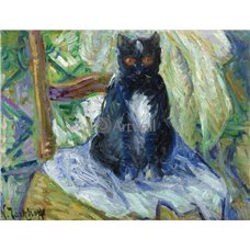 Картина на холсте по фото Модульные картины Печать портретов на холсте Черная кошка