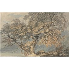 Картина на холсте по фото Модульные картины Печать портретов на холсте Большое дерево