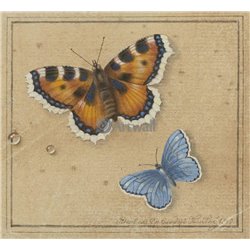 Бабочки - Модульная картины, Репродукции, Декоративные панно, Декор стен