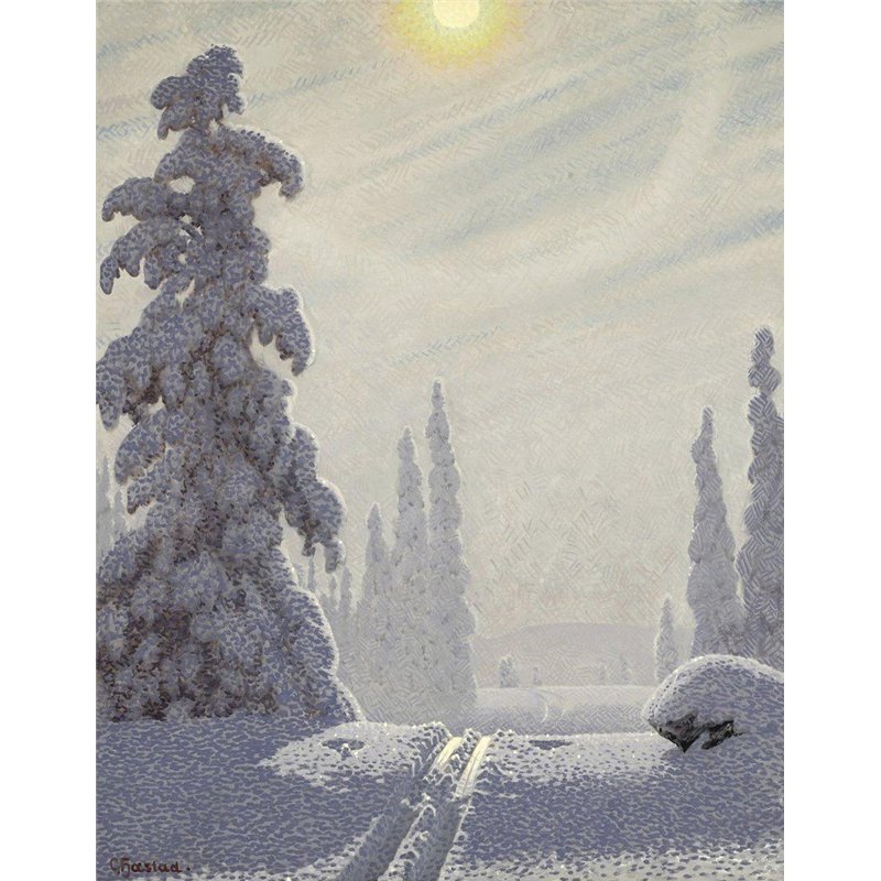 Сверкающий зимний пейзаж