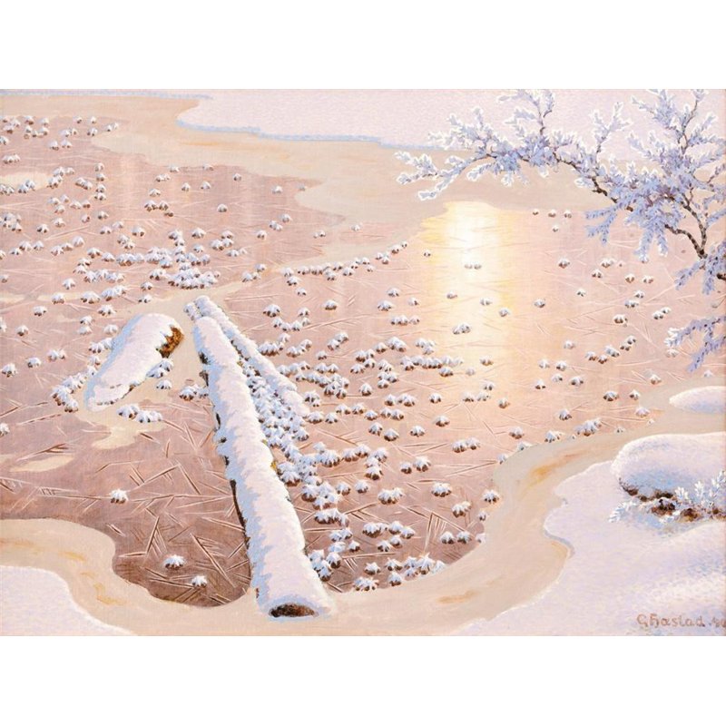 Замерзший пруд