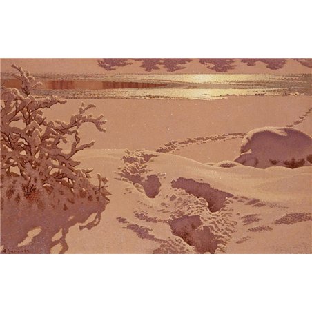 Следы на снегу в лунном свете