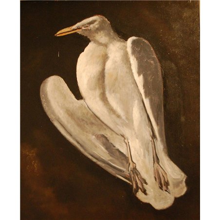 Чайка