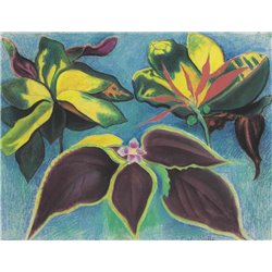 Тропические цветы - Модульная картины, Репродукции, Декоративные панно, Декор стен