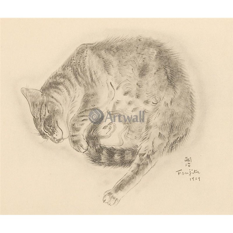 Из книги Кошек