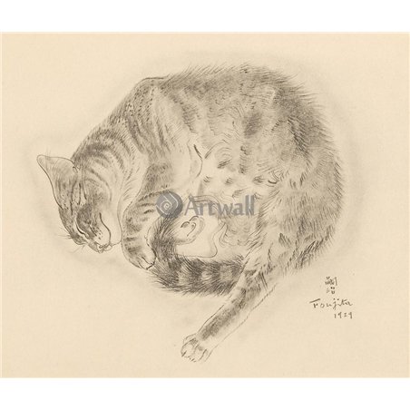 Из книги Кошек