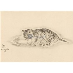 Из книги Кошек