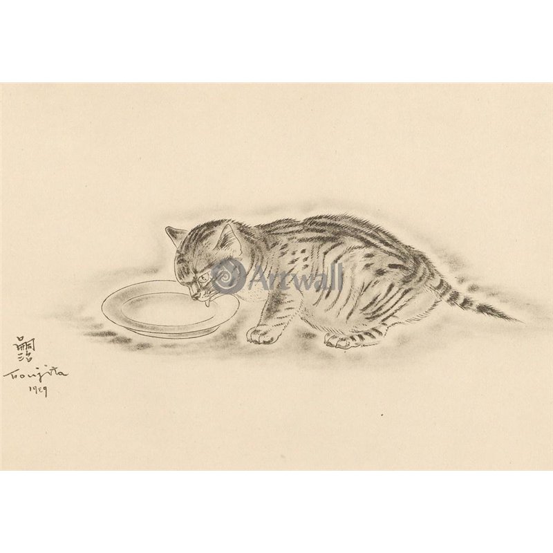 Из книги Кошек