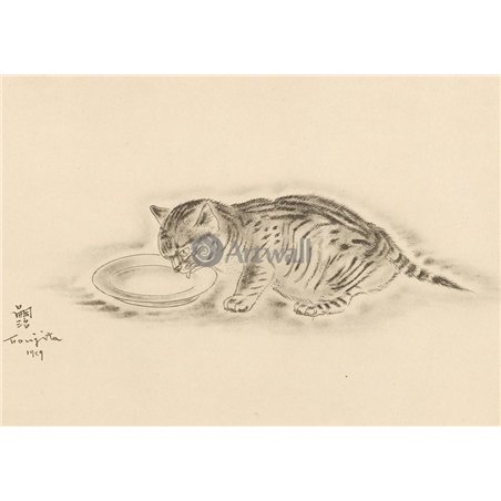 Из книги Кошек