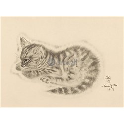 Из книги Кошек
