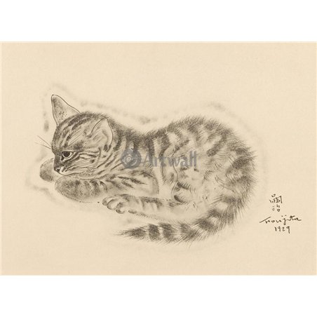 Из книги Кошек