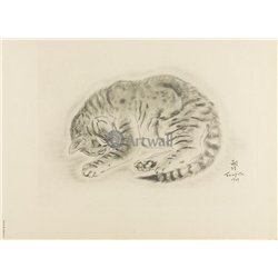 Из книги Кошек