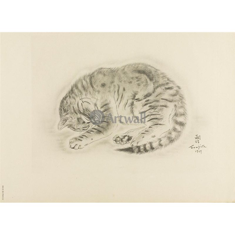 Из книги Кошек