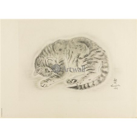 Из книги Кошек