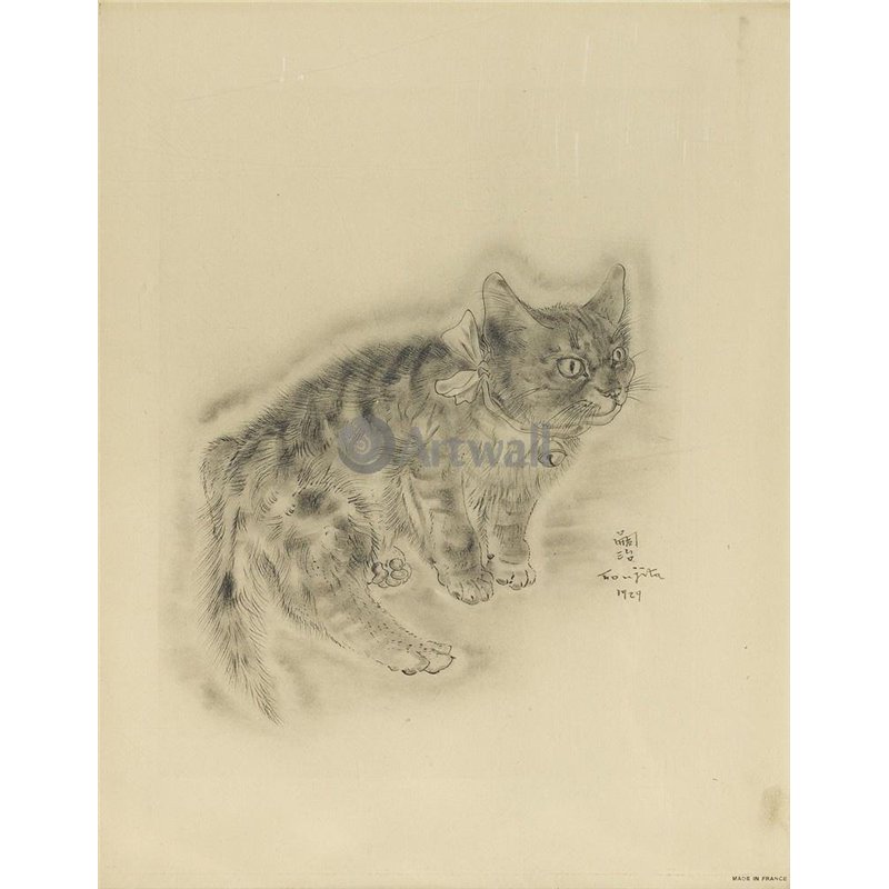 Из книги Кошек