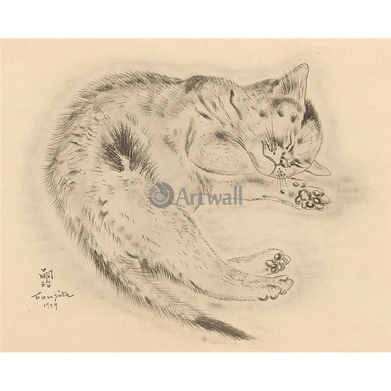 Из книги Кошек