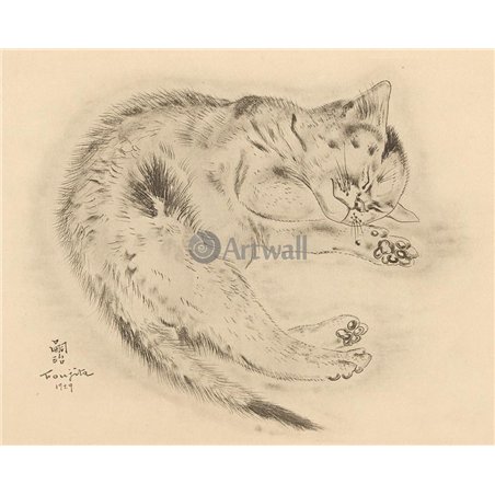 Из книги Кошек