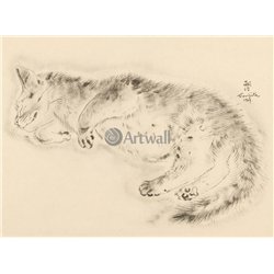 Из книги Кошек