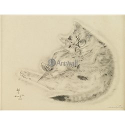 Из книги Кошек