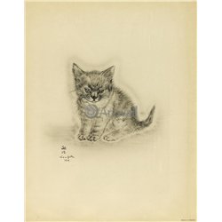Из книги Кошек