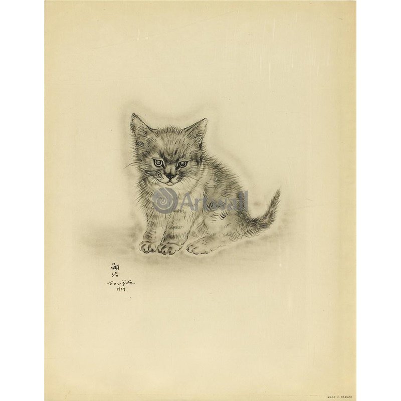 Из книги Кошек