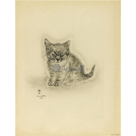 Из книги Кошек