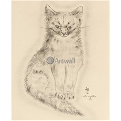 Из книги Кошек