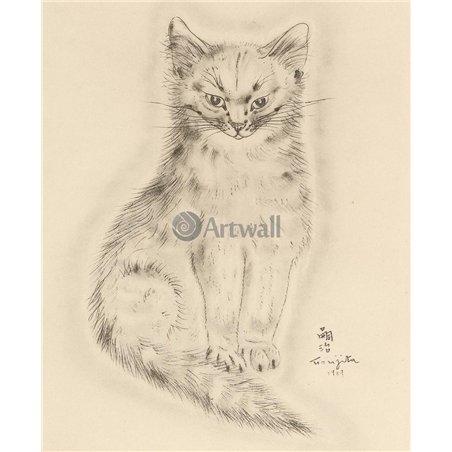 Из книги Кошек