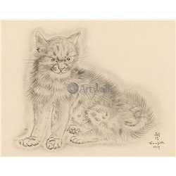 Из книги Кошек