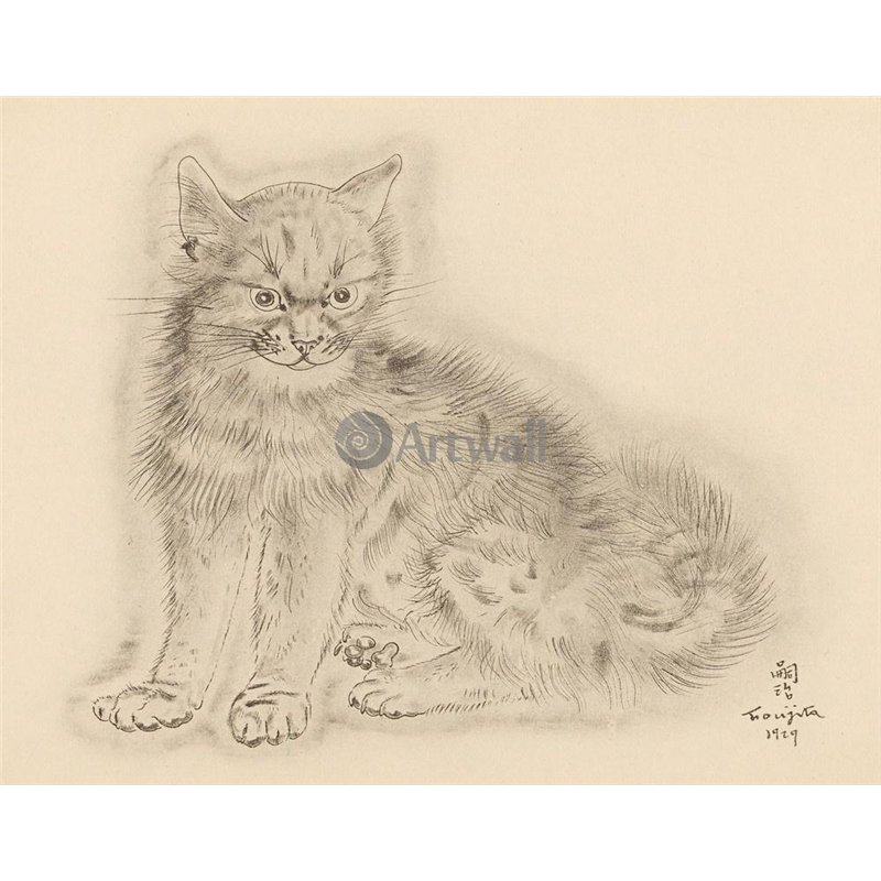 Из книги Кошек