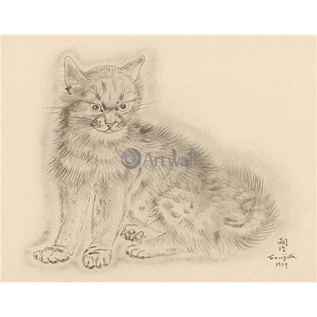 Из книги Кошек
