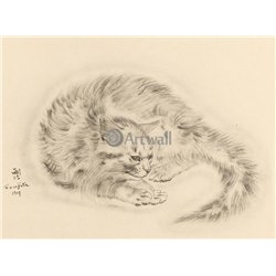 Из книги Кошек