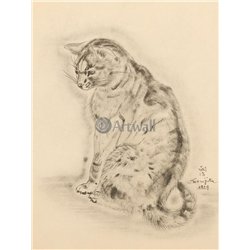 Из книги Кошек